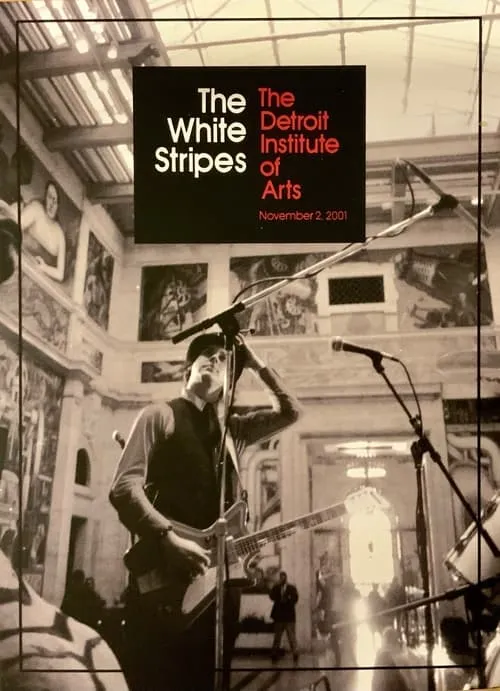 The White Stripes: The Detroit Institute of Arts (фильм)