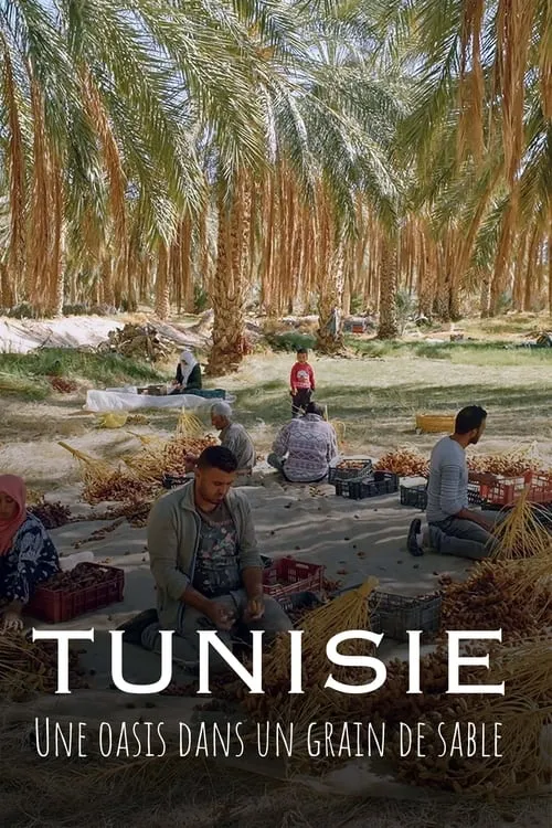 Tunisie : Une oasis dans un grain de sable (movie)