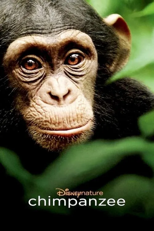 Chimpanzee (movie)