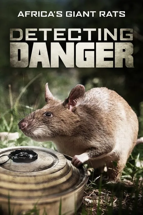 Detecting Danger: Africa's Giant Rats (movie)