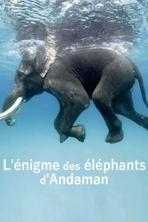 L'énigme des éléphants d'Andaman (movie)