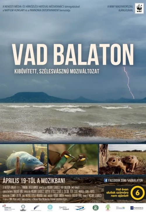 Vad Balaton (фильм)