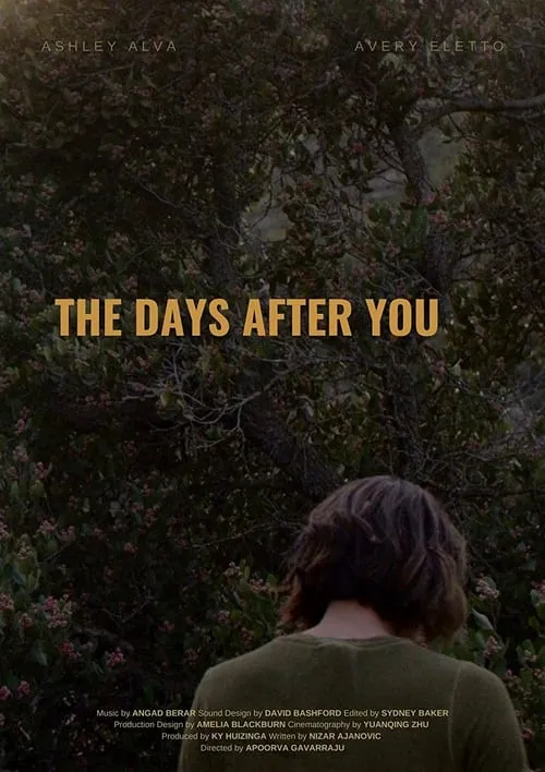 The Days After You (movie)