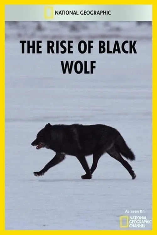 The Rise of Black Wolf (фильм)