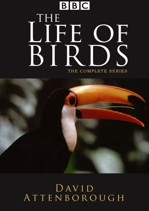 The Life of Birds (сериал)