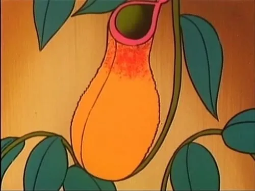 Acid Machine: The Pitcher Plant