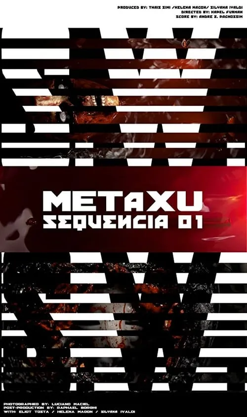 S.W. Metaxu-seq.01 (фильм)