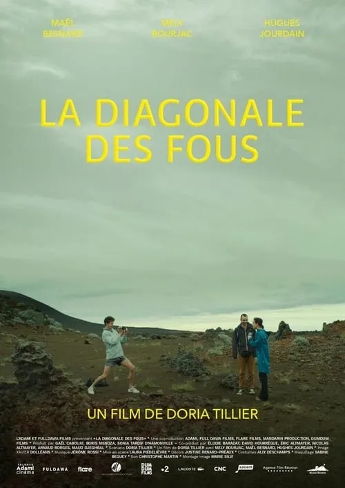 La diagonale des fous (фильм)