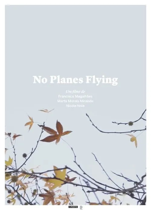 No Planes Flying (movie)